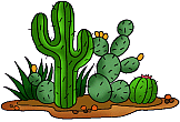 Cactus Room Logo