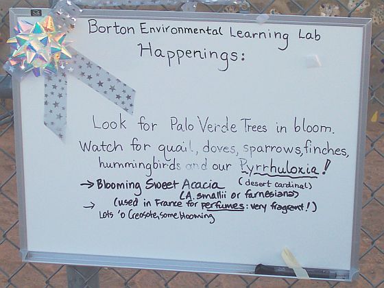 message board with Borton Environmental Happenings 