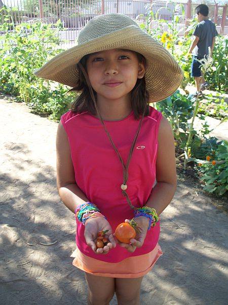 Female student holding fresh tomatoes
