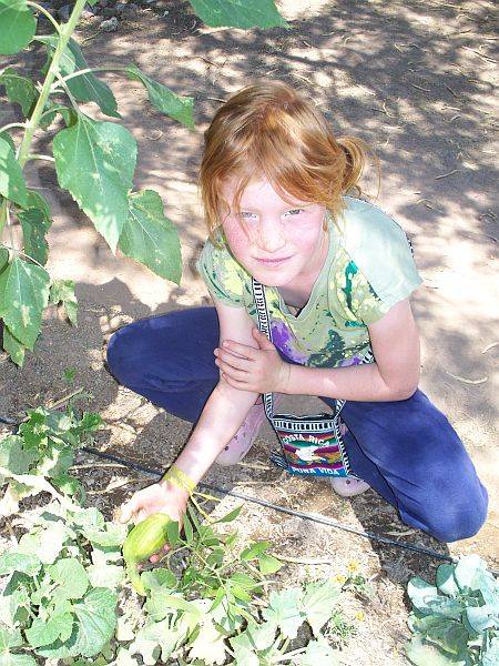 Female student showing a squash on the vine in the Borton Garden
