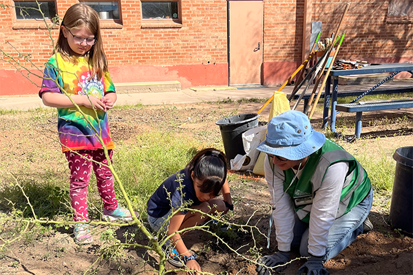 Two girls and an adult volunteer dig a hole for a tree