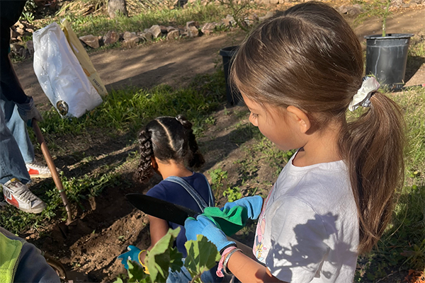 Two girls dig a hole in the ground to plant a tree