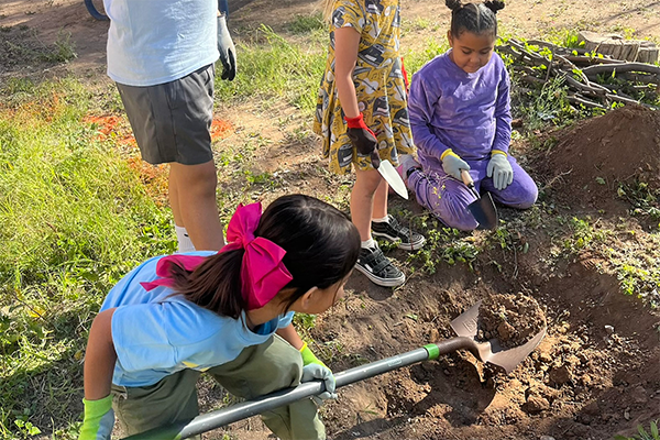 A girl uses a big shovel to dig a hole
