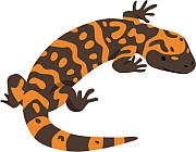 Gila Monster logo