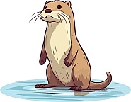 Otter