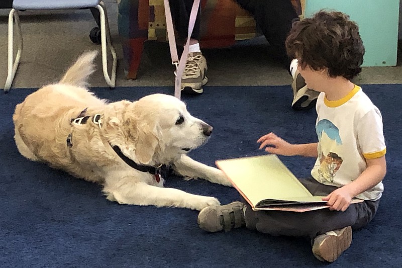Boy reading to a dog