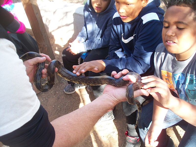students holding A king snake