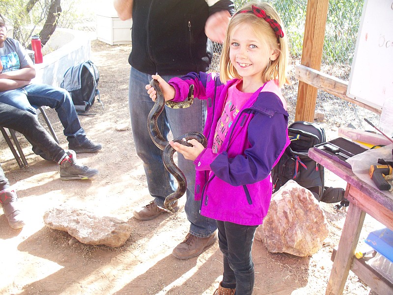 a girl student holding the king snake and smiling