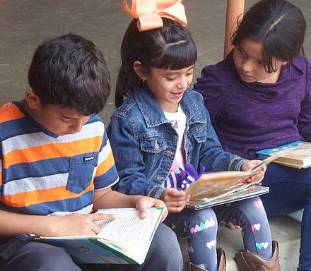 3 students reading together